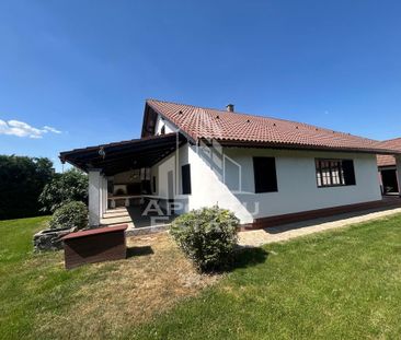 Casa cu 5 camere de inchiriat, curte proprie, Sanmihaiu Roman, Timis - Fotografie 5