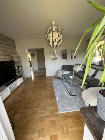 Engagatan, Alvesta - Foto 4
