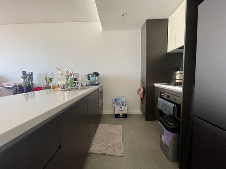 One bed room APT for the rent - Photo 4