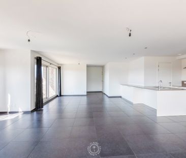 Licht, ruimte en prachtig Scheldezicht in hartje Temse - Photo 2