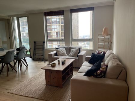 3002/343 Pitt Street, Sydney, NSW 2000 - Photo 5