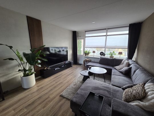 Omschrijving - Foto 1