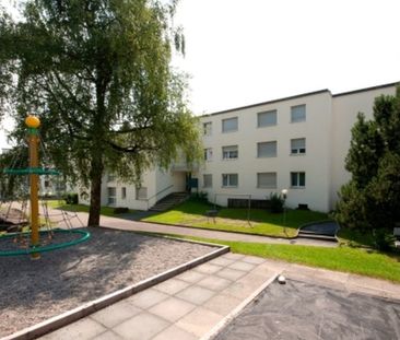 Genau das Richtige für naturverbundene Stadtmenschen - Photo 3