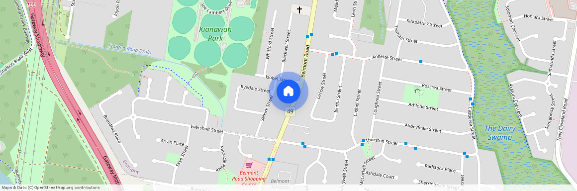 119 Belmont Road, Tingalpa QLD 4173