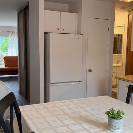 Beau appart 4 1/2. Quartier calme, sécuritaire, libre 1 juillet.. - Photo 4