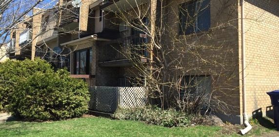 Beau grand 4 1/2 près de tous les services - Photo 2