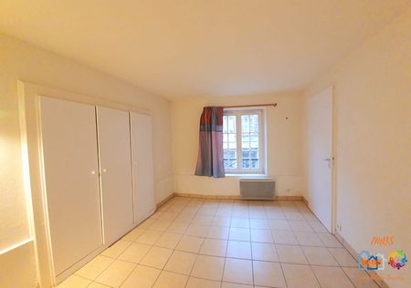 Appartement à louer à Colmar - Centre-ville - Photo 4