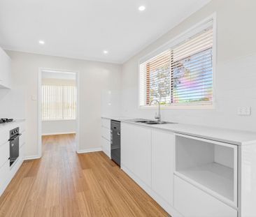 2 Nabiac Avenue, Belrose NSW 2085 - House For Rent | Domain - Photo 4