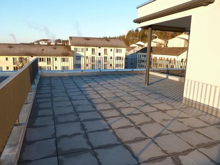 Moderne 4.5-Zimmer-Attika-Wohnung mit grosser Dachterrasse - Photo 4