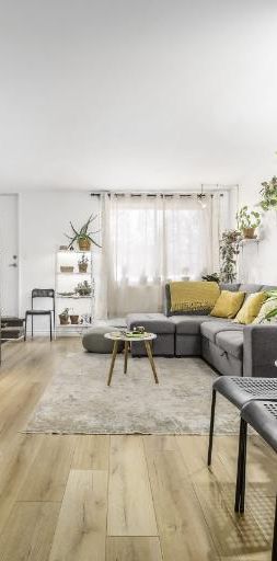 Appartement 4 ½ à louer juin 2026 - Photo 1