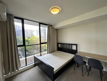 13 Joynton Avenue Zetland, Sydney - Photo 3