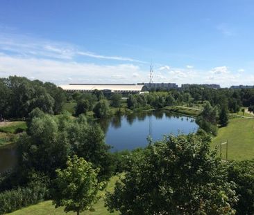 1-Zimmer-Wohnung mit Westbalkon in Rostock-Groß Klein - Photo 3