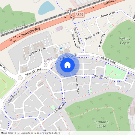 Grouse Meadows, Bracknell, RG12