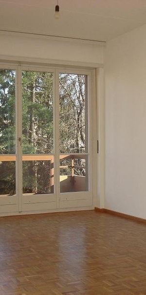 Rent a 1 ½ rooms apartment in Lugano - Foto 1