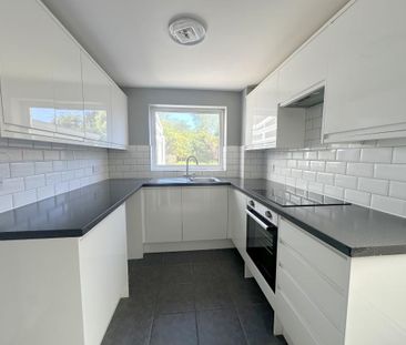 House - Photo 5