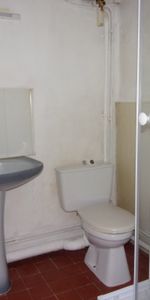 Location Appartement 1 pièce 30m² CAUDEBEC LES ELBEUF 76320 - Photo 3