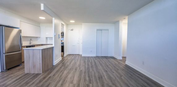 Large, Luxurious, Completely Renovated Large Two Bed Apartment in East York - Photo 2