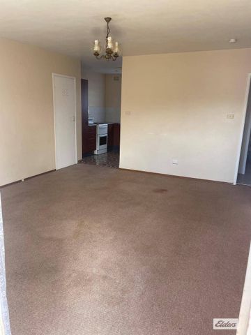 Large 2 bedroom CBD apartment - Photo 4