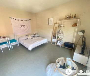 Location Appartement 1 pièce 21m² ALBI 81000 - Photo 1