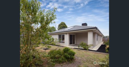 Ideal Family Home In Waterford Rise! - Photo 4