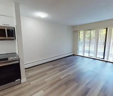 1373 West 73rd | 1373 W 73rd Ave, Vancouver - Photo 1