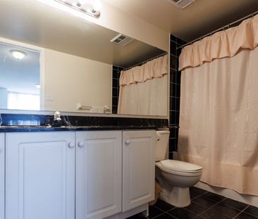 For Lease - 29 Northern Heights Drive Unit# 209, Richmond Hill, Ont... - Photo 4