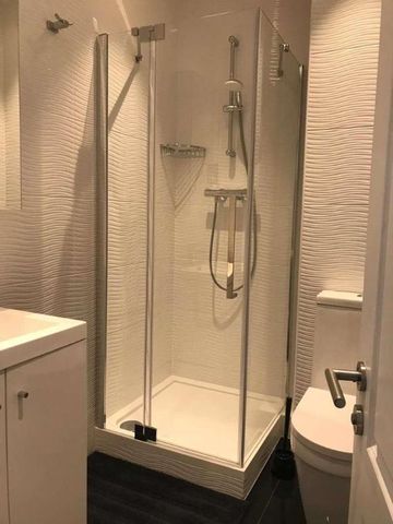 Gloucester Terrace, Lancaster Gate, W2 - Photo 4