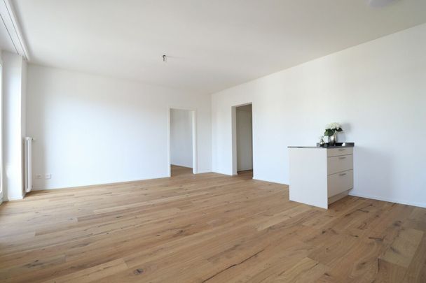 Moderne 2.5 Zimmer-Wohnung in ruhigem Quartier - Foto 1