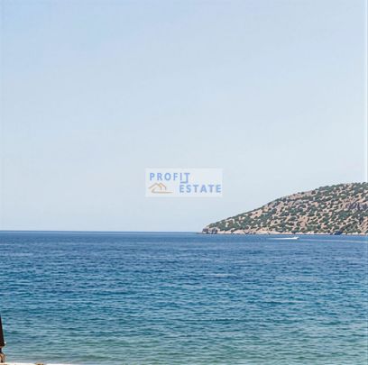 Studio/Γκαρσονιέρα για ενοικίαση Ανάβυσσος Κέντρο (Ανάβυσσος) - Φωτογραφία 1