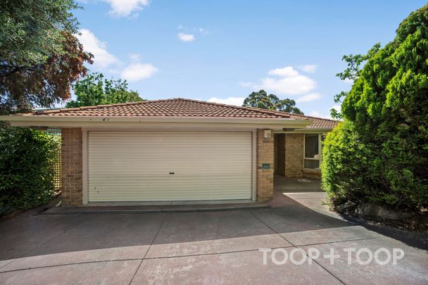 Gorgeous home in quiet tree lined street - Photo 1