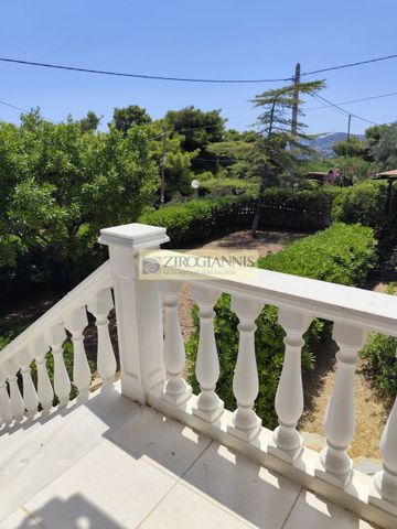 Μονοκατοικία για ενοικίαση Αγία Κυριακή (Σπάτα) - Φωτογραφία 5