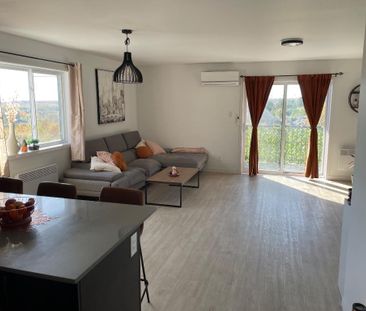 Appartement 4 1/2, animaux acceptés + prime - Photo 1