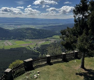 Ihr Zweitwohnsitz im Naturpark Hohe Wand - Apartments ab 398 EUR - Foto 2