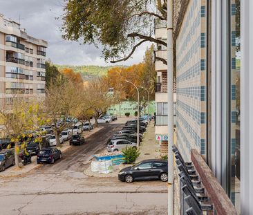 Rua Major Perestrelo da Conceição - Photo 3