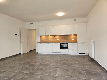 Rue des Bourgeois, 5000, Namur - Photo 4