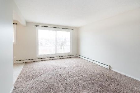 1 Bedroom - Photo 5