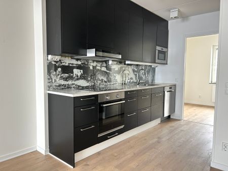 Fiholmsgatan 15 - Photo 3