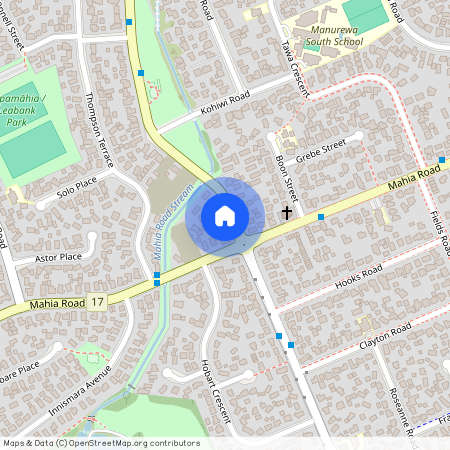 127 Coxhead Road, Manurewa, Manukau City