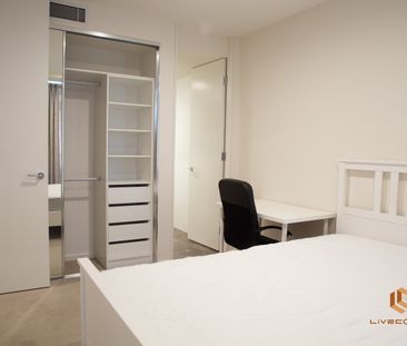 Canberra CBD - Photo 6