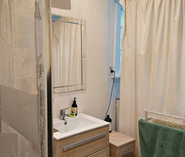 A HONEY ON HILLSBOROUGH - Photo 1