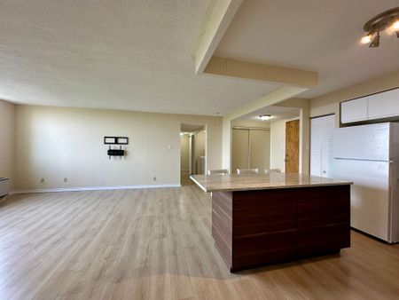 For Lease - 2760 Carousel Crescent Unit# 1508, Blossom Park - Airport and Area, Ontario - Photo 4