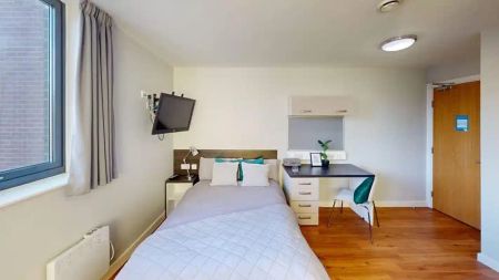 Deluxe Studio - Photo 2