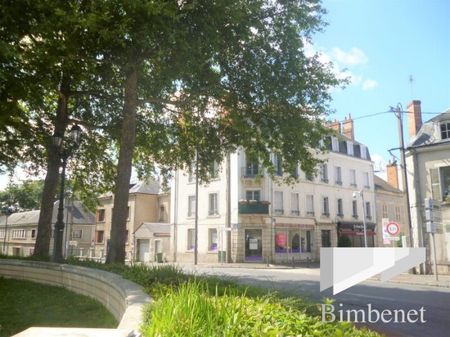 Appartement à louer, 3 pièces - Orléans 45000 - Photo 4