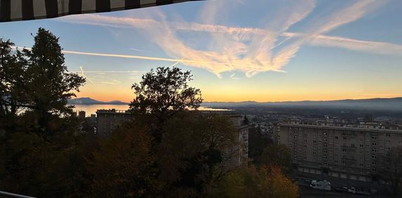 4.5 Zimmer, 114 m², 3. Stock - Photo 2