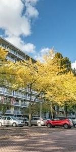 Zijldonk, 2317 DP Leiden, Nederland - Foto 3