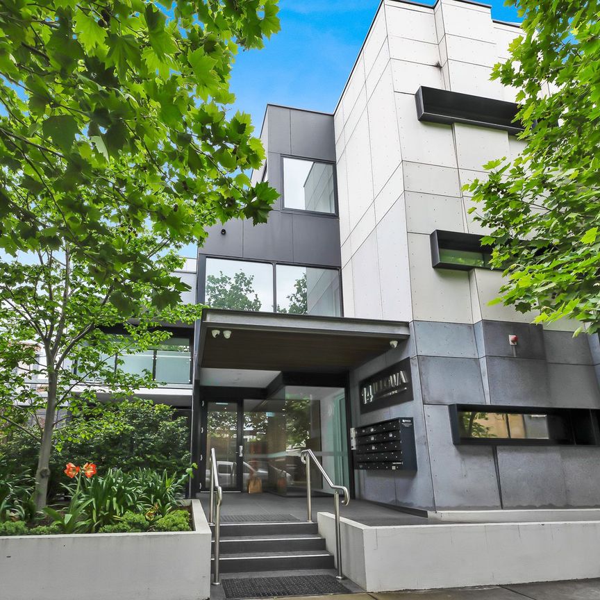 103/14 Illowa Street, Malvern East VIC 3145 - Apartment For Rent | Domain - Photo 1