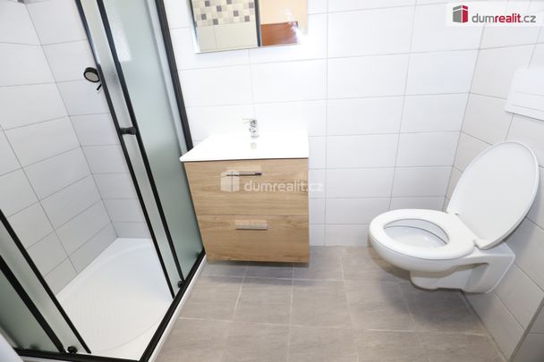 Pronájem bytu 1+kk a garsoniéry 15 m², Újezd pod Přimdou, Přimda - Photo 1