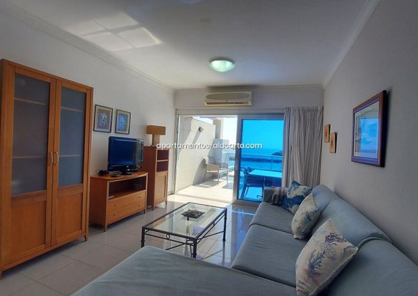 Apartment in Mogán, Playa de Mogan, for rent