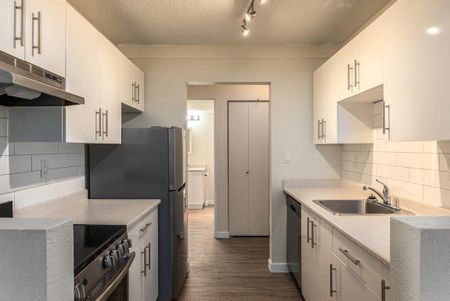 2 Bedroom - Photo 3