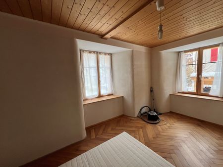 1er-Mars 12b Rez 4 pièces en ville - Photo 3